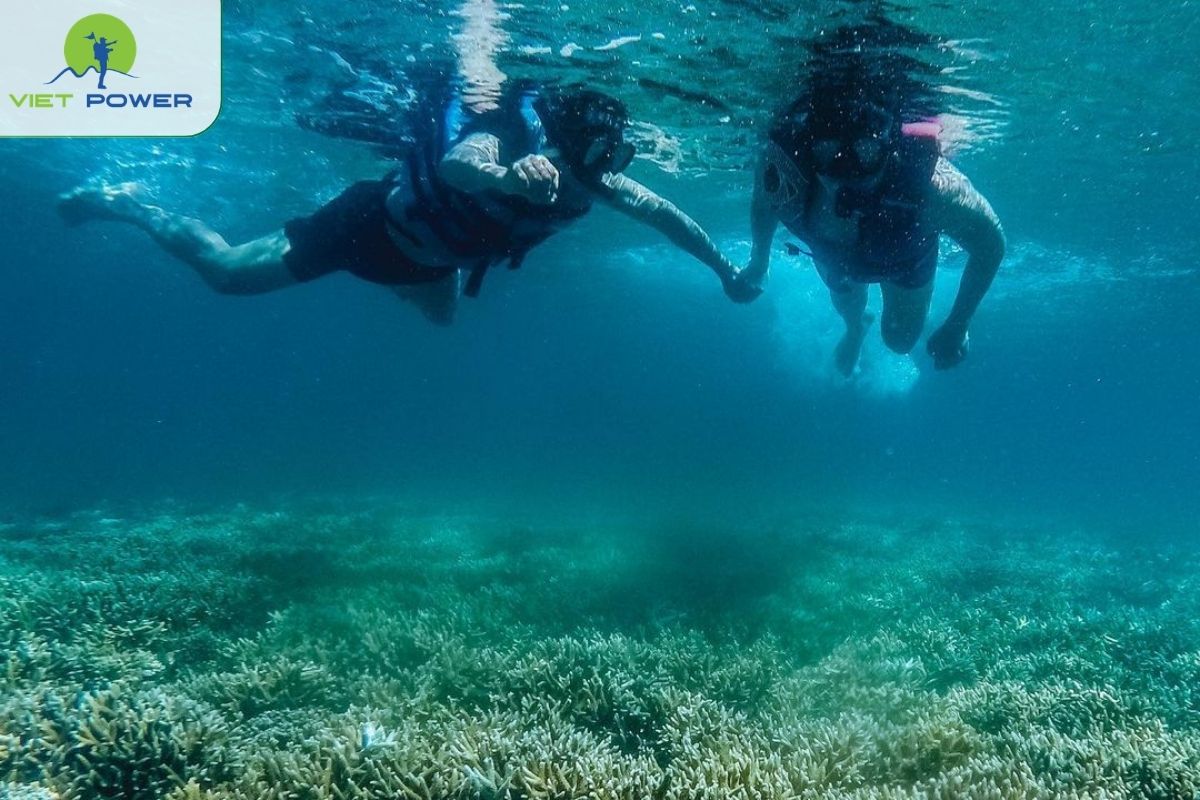 Snorkeling