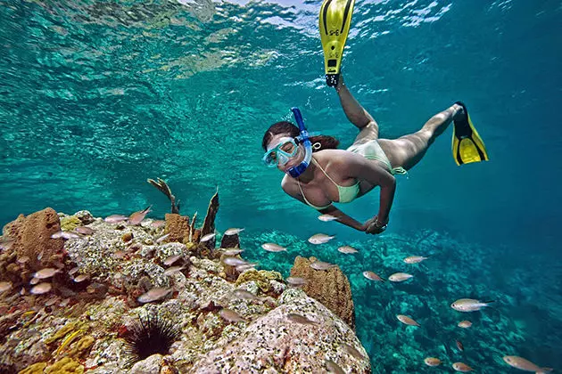 Explore Nha Trang Bay by Speedboat in One Day