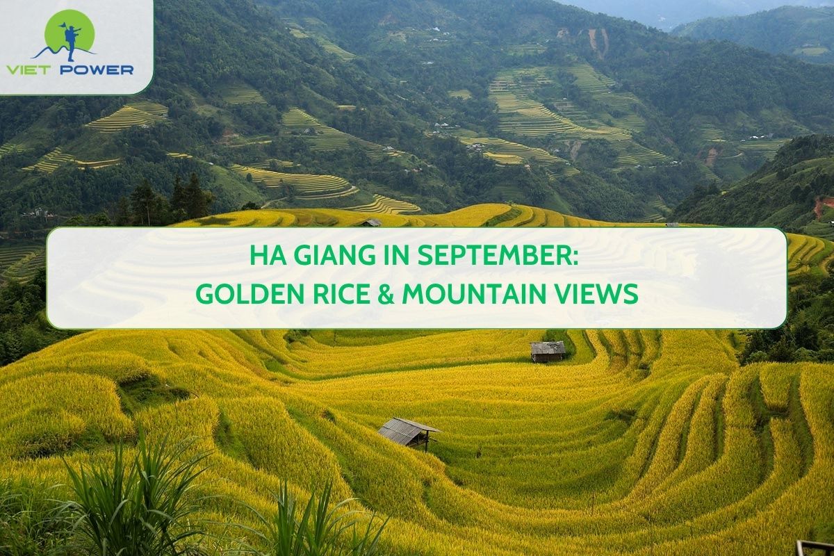 Ha Giang in September: Golden Rice & Mountain Views