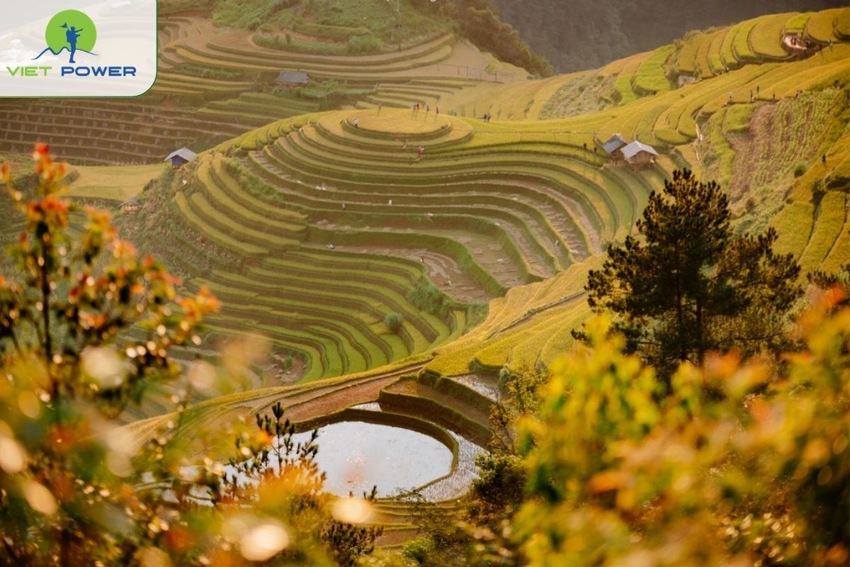 Mu Cang Chai Rice Terraces