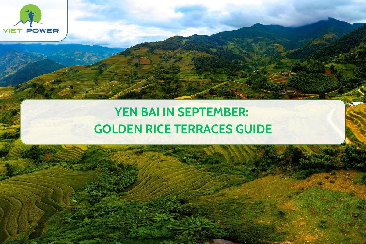 Yen Bai in September: Golden Rice Terraces Guide