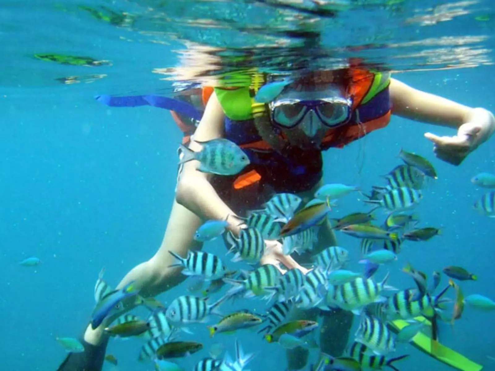 Southern and Central Vietnam - Family Holiday Adventures