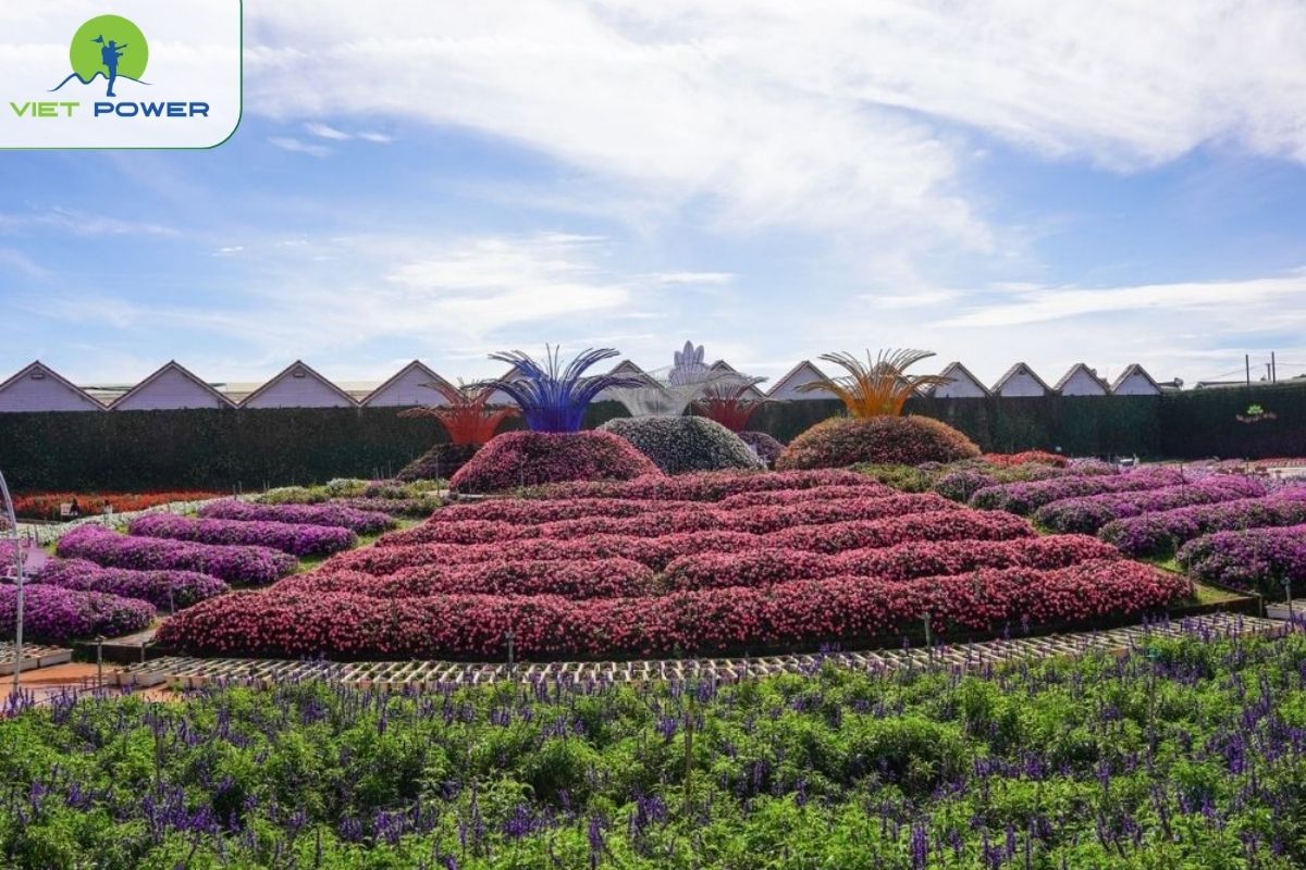 Van Thanh Flower Village in Ward 5