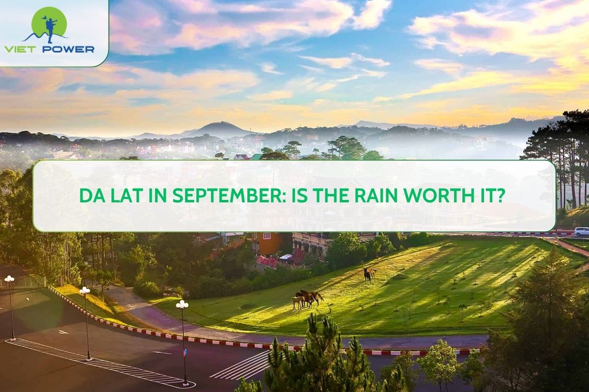Da Lat in September: Is the Rain Worth It?