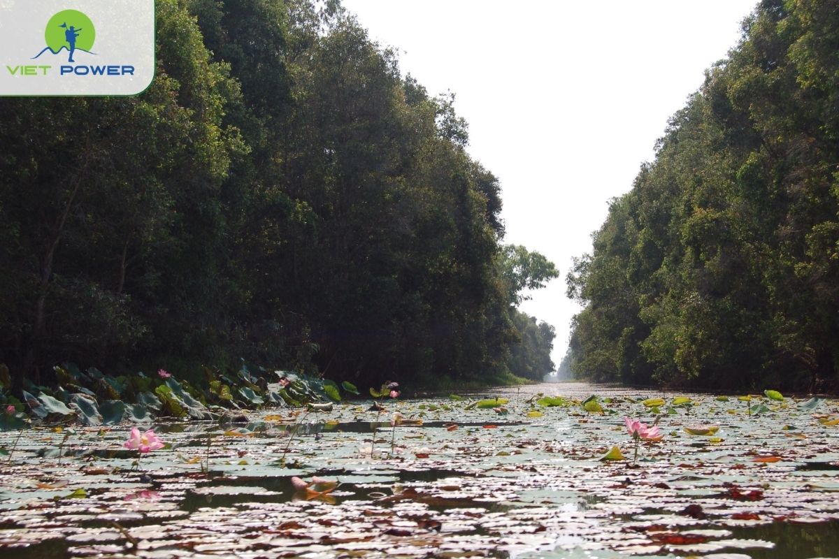 Lang Sen Wetland Reserve
