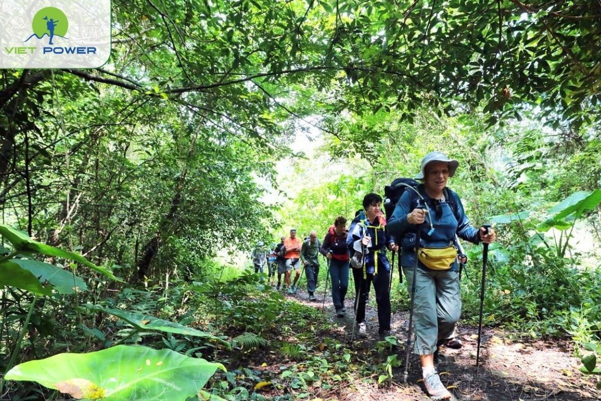 hiking cat ba national park