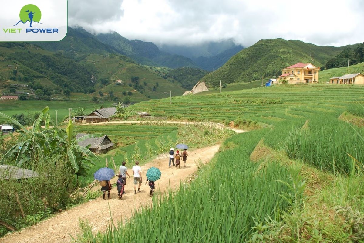 Trekking routes lead to Lao Chai, Ta Van and Y Linh Ho