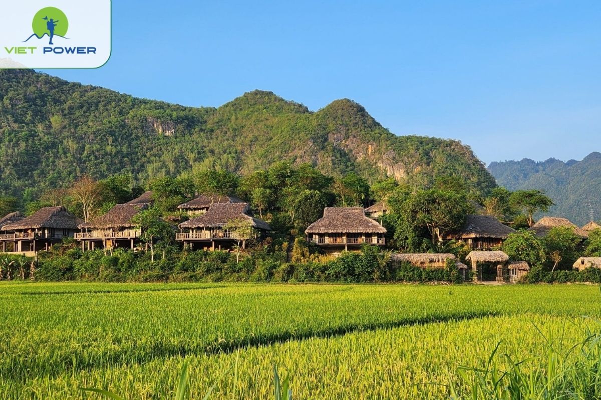 Pu Luong Nature Reserve 