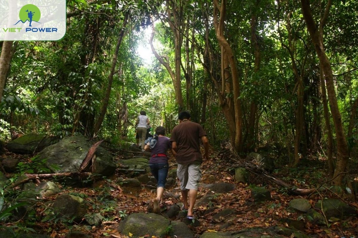Trekking or a wildlife-watching experience