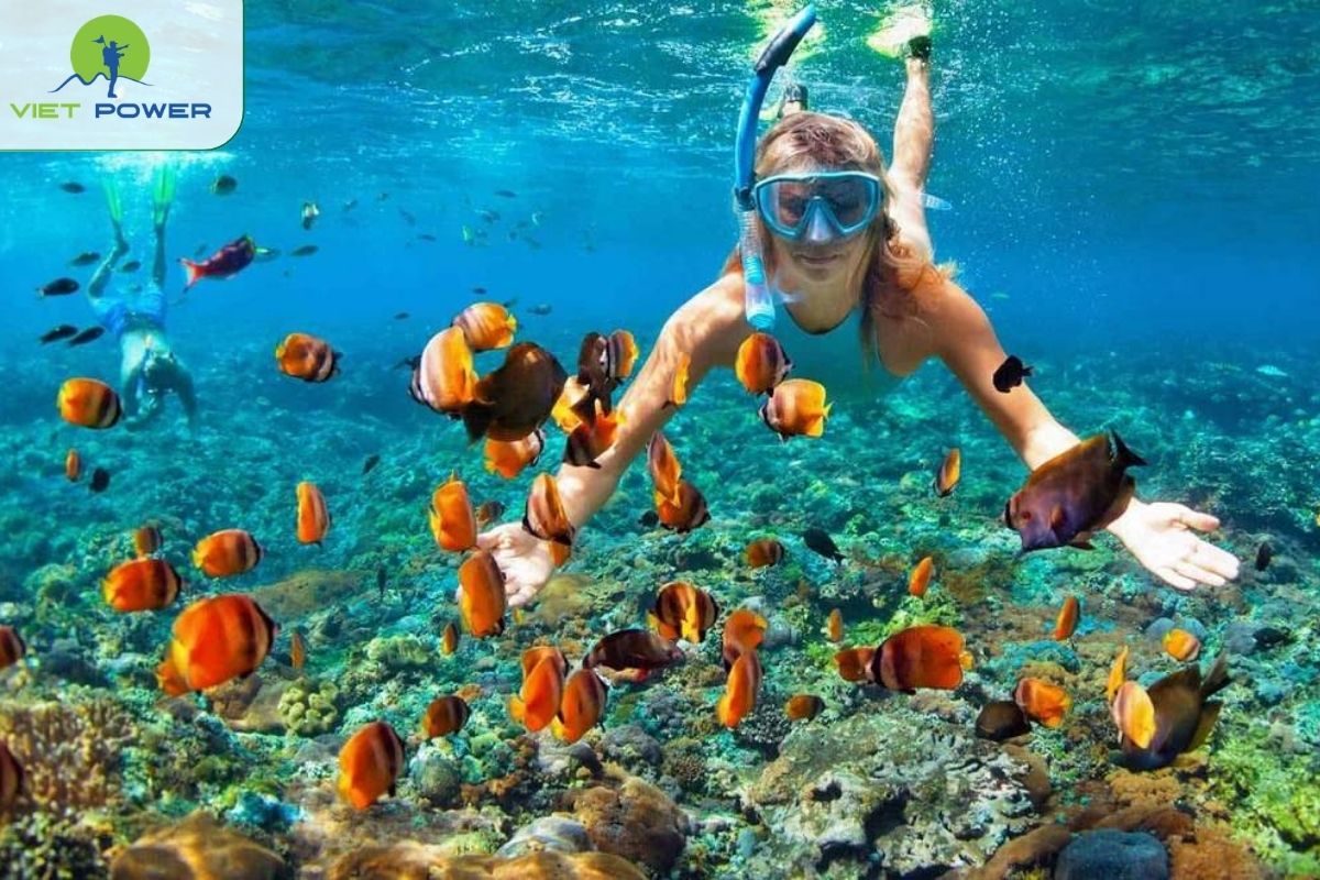 Snorkeling at Con Dao