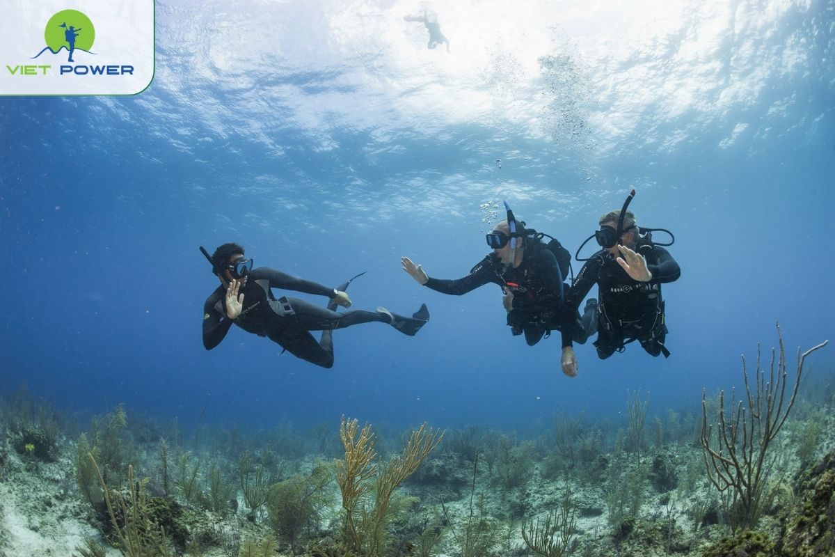 Snorkeling
