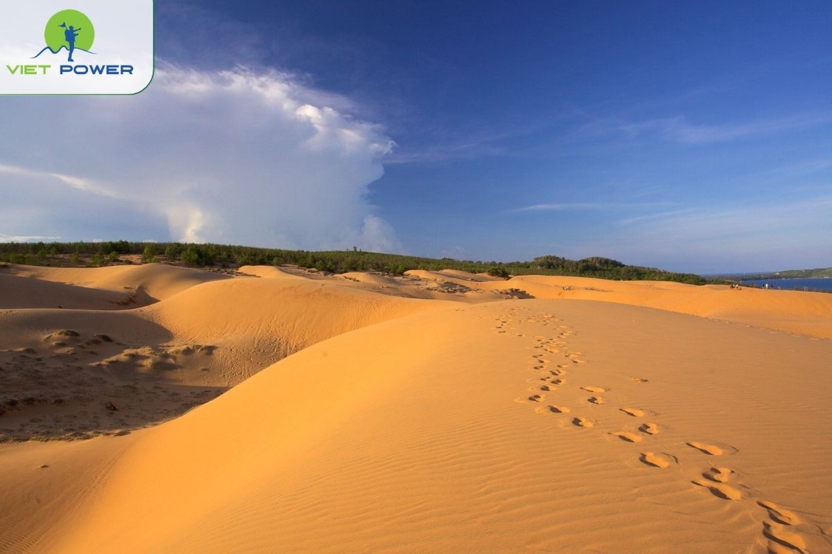 Mui Ne Sand Dunes