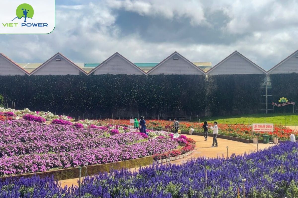 Highland agriculture farms (Van Thanh, Trai Mat)