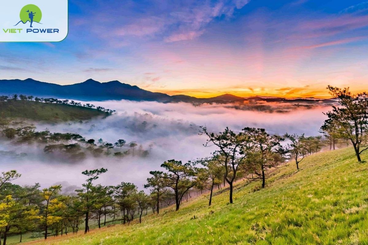 Best Time to Visit Da Lat