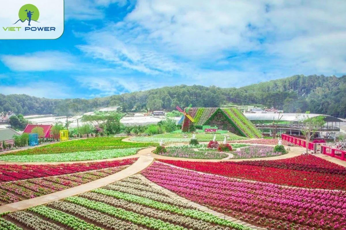 Flower Gardens,