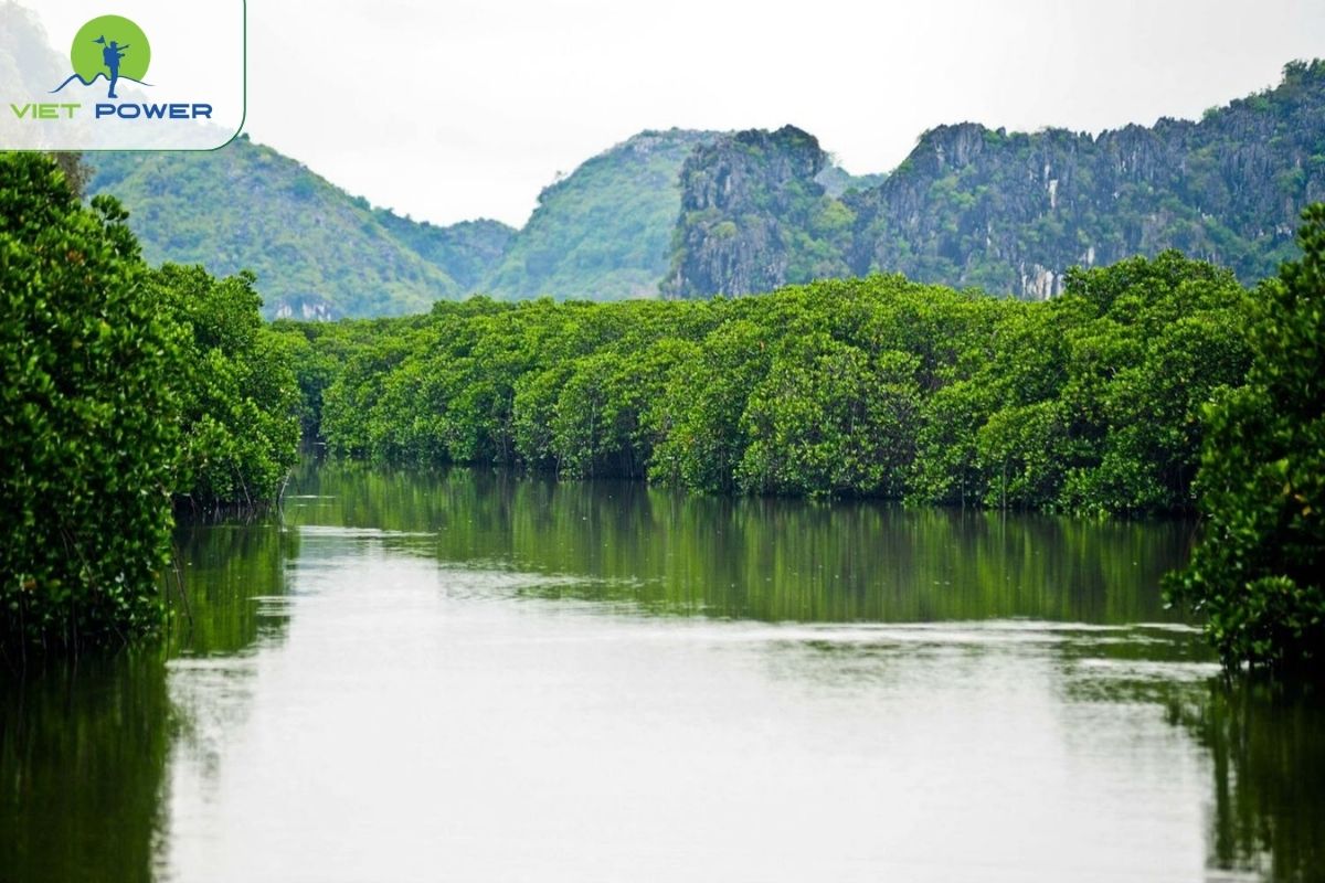 Nha Phu Bay