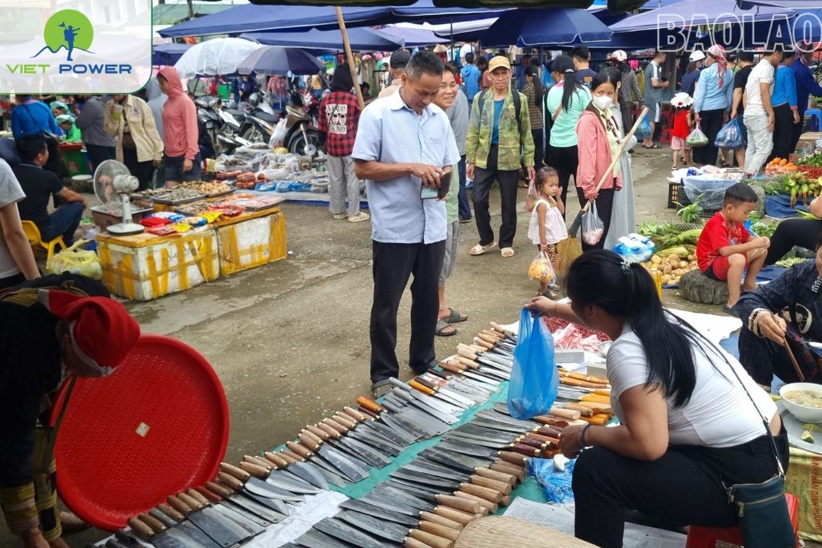 Highland Markets 