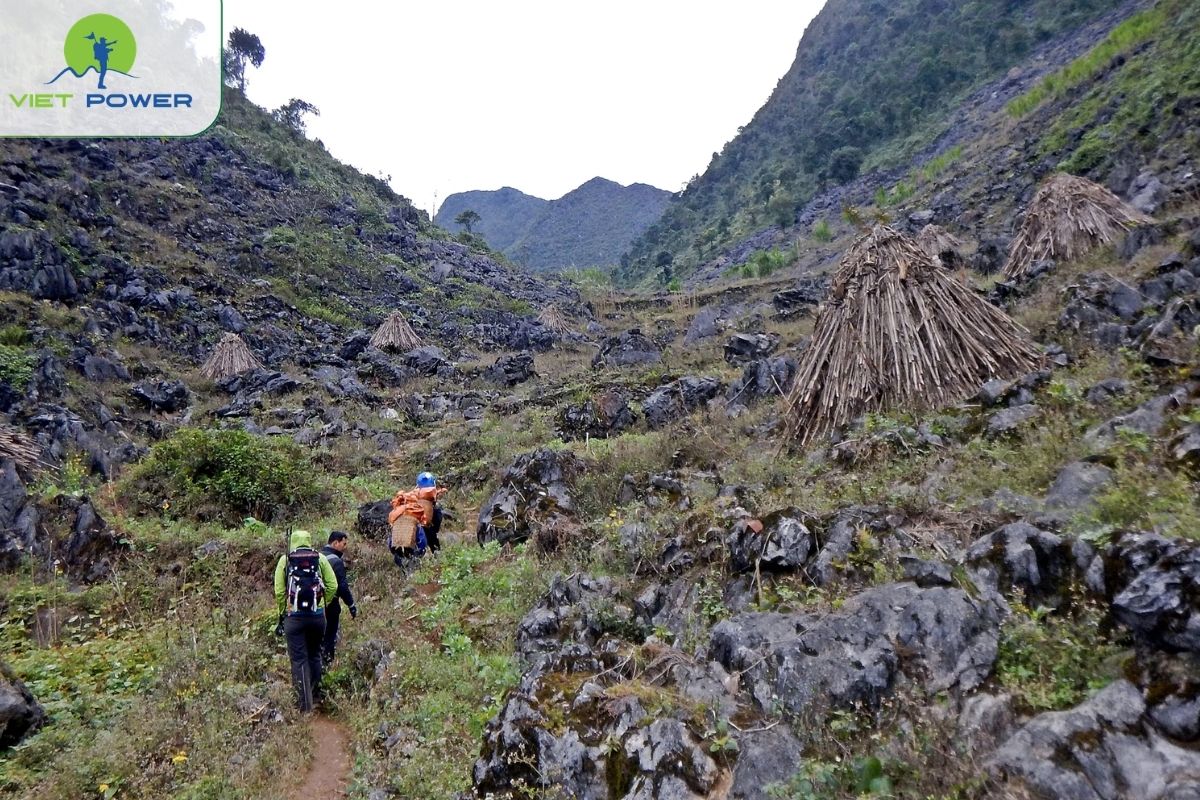 Best Time to Visit Dong Van Karst Plateau