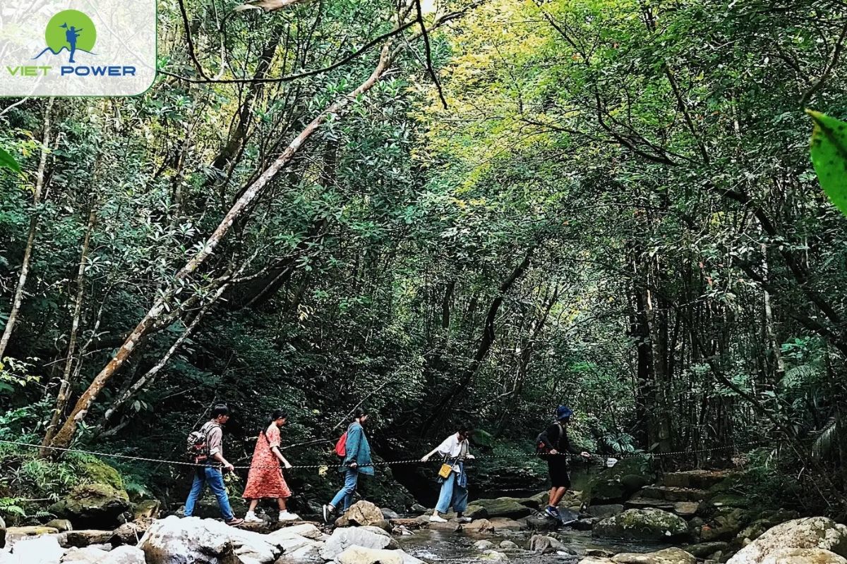 Bach Ma National Park (Vườn Quốc gia Bạch Mã)
