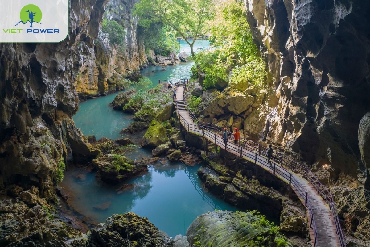 Phong Nha Cave