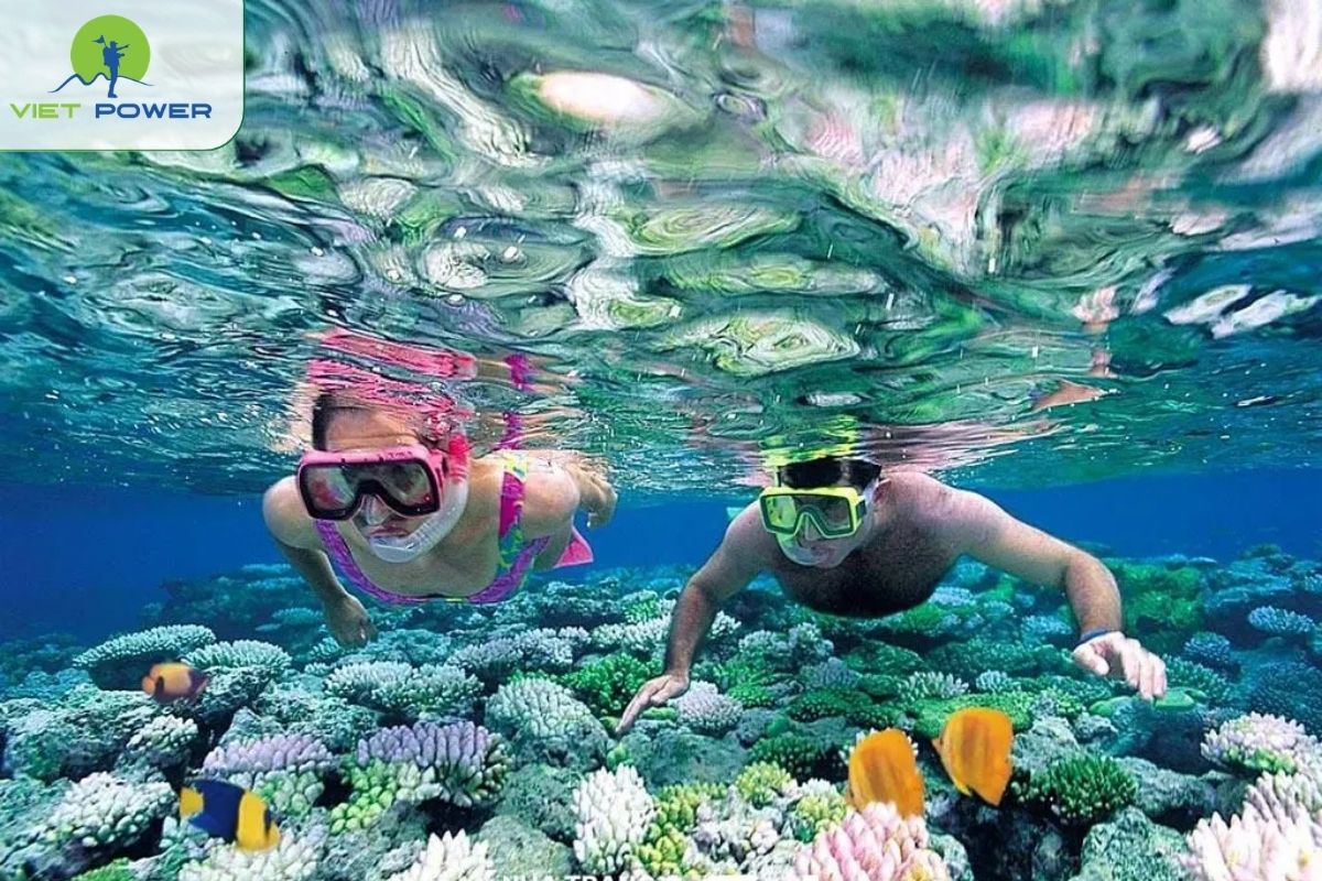 You may take a snorkeling